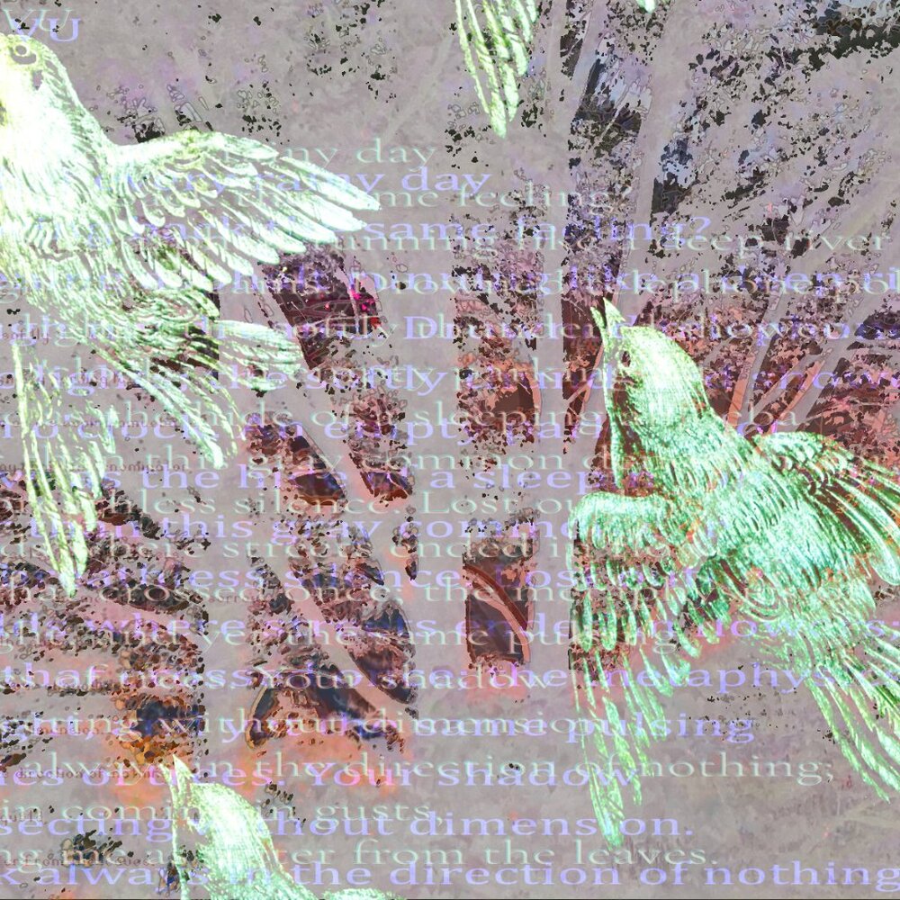 Meet your Posher, Ruth